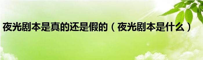 夜光剧本是真的还是假的（夜光剧本是什么）