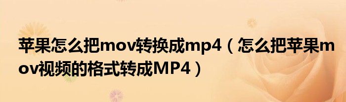 苹果怎么把mov转换成mp4（怎么把苹果mov视频的格式转成MP4）