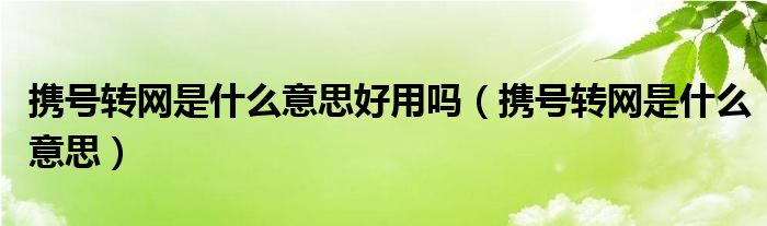 携号转网是什么意思好用吗（携号转网是什么意思）