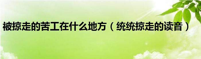 被掠走的苦工在什么地方（统统掠走的读音）