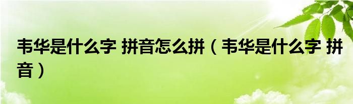 韦华是什么字 拼音怎么拼（韦华是什么字 拼音）