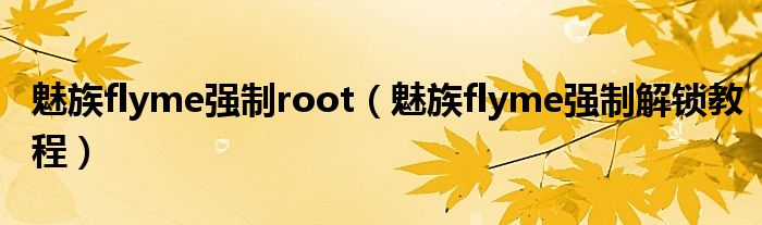 魅族flyme强制root（魅族flyme强制解锁教程）