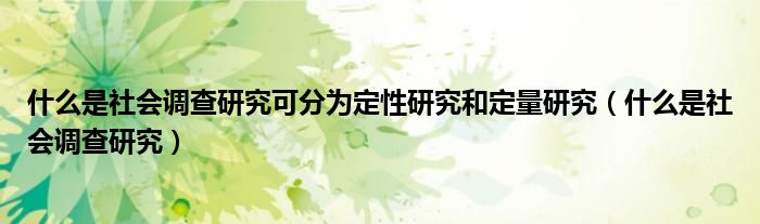 什么是社会调查研究可分为定性研究和定量研究（什么是社会调查研究）