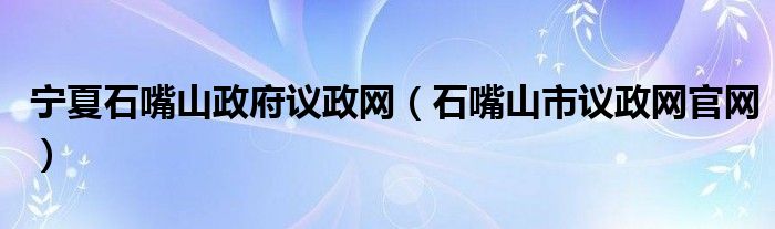 宁夏石嘴山政府议政网（石嘴山市议政网官网）