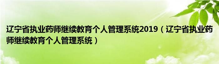 辽宁省执业药师继续教育个人管理系统2019（辽宁省执业药师继续教育个人管理系统）