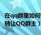 在qq群里如何转让群主（QQ群怎么转让如何转让QQ群主）