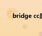 bridge cc是什么软件（bridge cc）