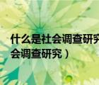 什么是社会调查研究可分为定性研究和定量研究（什么是社会调查研究）