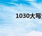 1030大写金额数字（10 30大写）