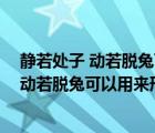 静若处子 动若脱兔可以用来形容男人吗为什么（静若处子 动若脱兔可以用来形容男人吗）