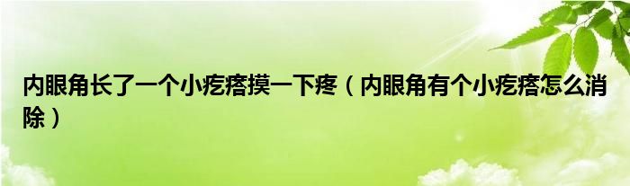 内眼角长了一个小疙瘩摸一下疼（内眼角有个小疙瘩怎么消除）