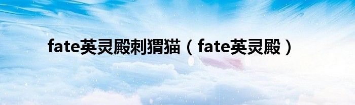 fate英灵殿刺猬猫（fate英灵殿）