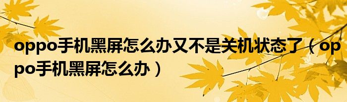 oppo手机黑屏怎么办又不是关机状态了（oppo手机黑屏怎么办）