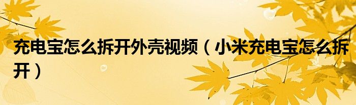 充电宝怎么拆开外壳视频（小米充电宝怎么拆开）