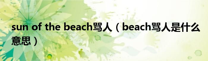 sun of the beach骂人（beach骂人是什么意思）