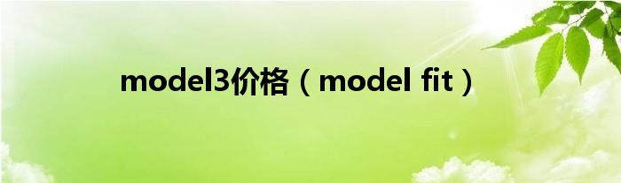 model3价格（model fit）