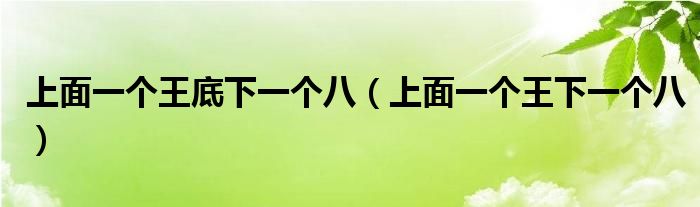 上面一个王底下一个八（上面一个王下一个八）