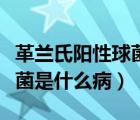 革兰氏阳性球菌阳性是什么病（革兰氏阳性球菌是什么病）