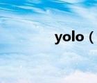 yolo（说一说yolo的简介）