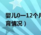 婴儿0一12个月发育标准（婴儿0一12个月发育情况）