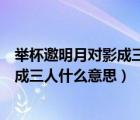 举杯邀明月对影成三人什么意思是哪三人（举杯邀明月对影成三人什么意思）