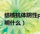 结核抗体阴性ppd阳性说明什么（ppd阳性说明什么）