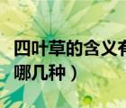 四叶草的含义有哪几种图片（四叶草的含义有哪几种）