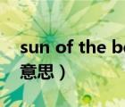 sun of the beach骂人（beach骂人是什么意思）