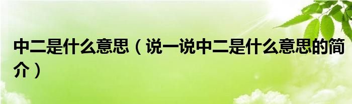 中二是什么意思（说一说中二是什么意思的简介）