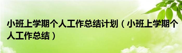 小班上学期个人工作总结计划（小班上学期个人工作总结）