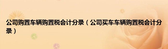 公司购置车辆购置税会计分录（公司买车车辆购置税会计分录）