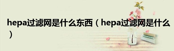 hepa过滤网是什么东西（hepa过滤网是什么）