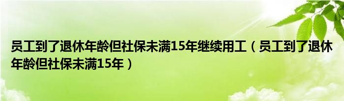 员工到了退休年龄但社保未满15年继续用工（员工到了退休年龄但社保未满15年）