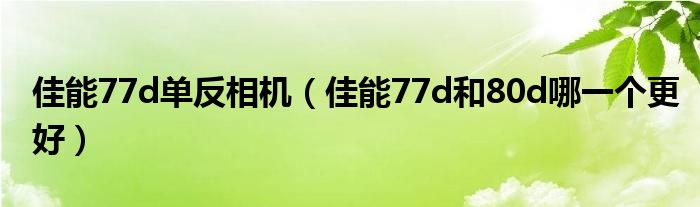 佳能77d单反相机（佳能77d和80d哪一个更好）