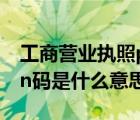 工商营业执照pin码是什么（电子营业执照pin码是什么意思）