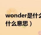 wonder是什么意思翻译成中文（wonder是什么意思）