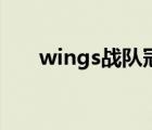 wings战队冠军主题曲（wings战队）