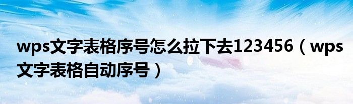 wps文字表格序号怎么拉下去123456（wps文字表格自动序号）