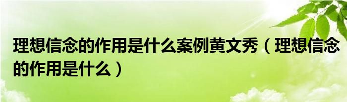 理想信念的作用是什么案例黄文秀（理想信念的作用是什么）