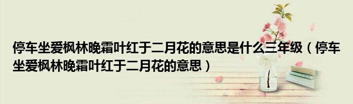 停车坐爱枫林晚霜叶红于二月花的意思是什么三年级（停车坐爱枫林晚霜叶红于二月花的意思）