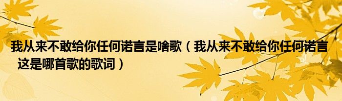 我从来不敢给你任何诺言是啥歌（我从来不敢给你任何诺言   这是哪首歌的歌词）