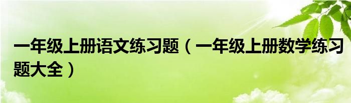 一年级上册语文练习题（一年级上册数学练习题大全）