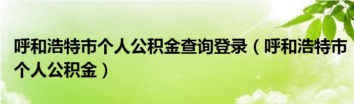 呼和浩特市个人公积金查询登录（呼和浩特市个人公积金）