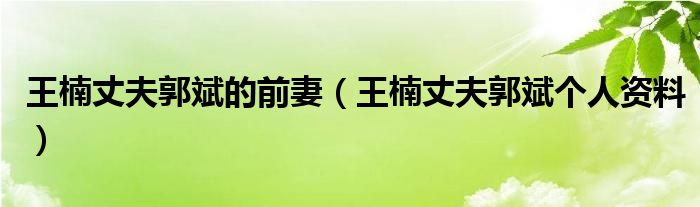 王楠丈夫郭斌的前妻（王楠丈夫郭斌个人资料）