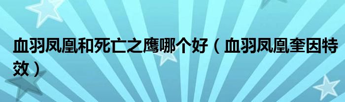 血羽凤凰和死亡之鹰哪个好（血羽凤凰奎因特效）