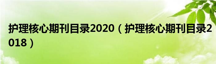 护理核心期刊目录2020（护理核心期刊目录2018）