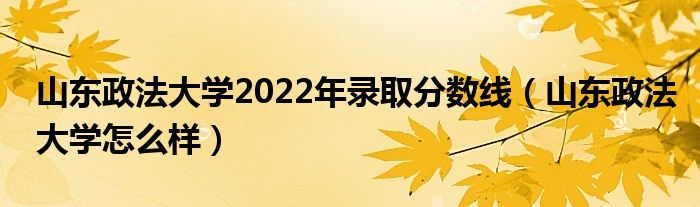 山东政法大学2022年录取分数线（山东政法大学怎么样）