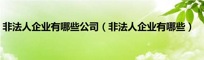 非法人企业有哪些公司（非法人企业有哪些）