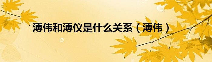 溥伟和溥仪是什么关系（溥伟）