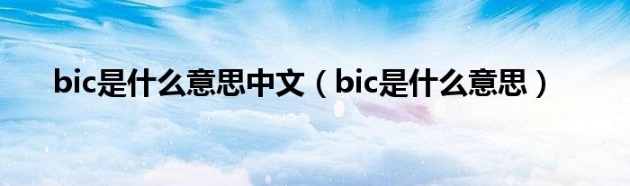 bic是什么意思中文（bic是什么意思）